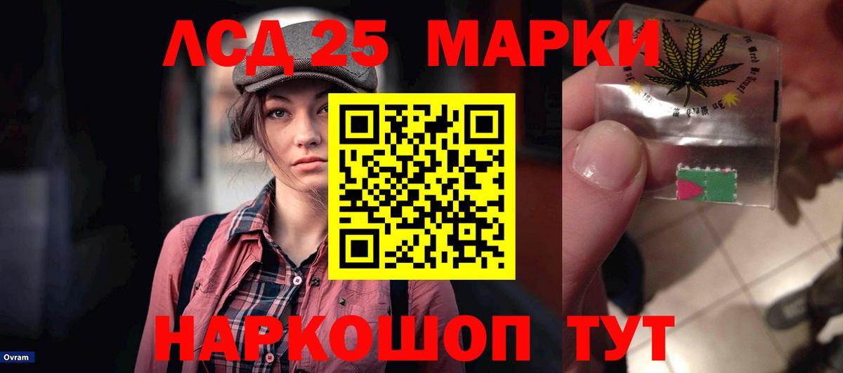 Лсд 25 экстази  Вход с VPN  Майкоп  Лсд 25 экстази кислота 