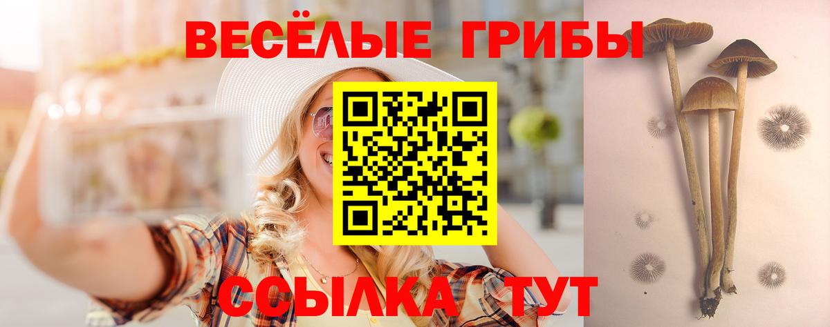купить   Вход с VPN  Майкоп  Галлюциногенные грибы мухоморы 